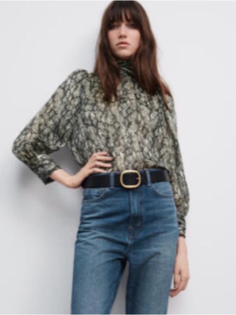 NWOT Zara Woman Anima Print Snakeskin Chiffon Sparkling Turtleneck Blouse Top XS
